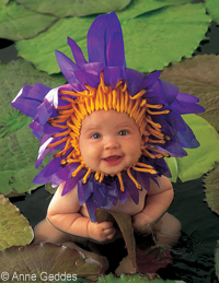 anne_geddes_baby_sunflower